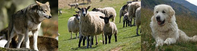 Leadership begins at home