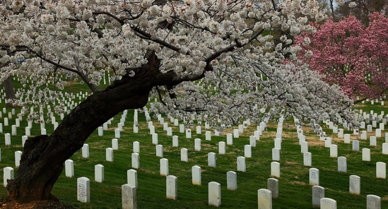 The Eyes Don’t Lie