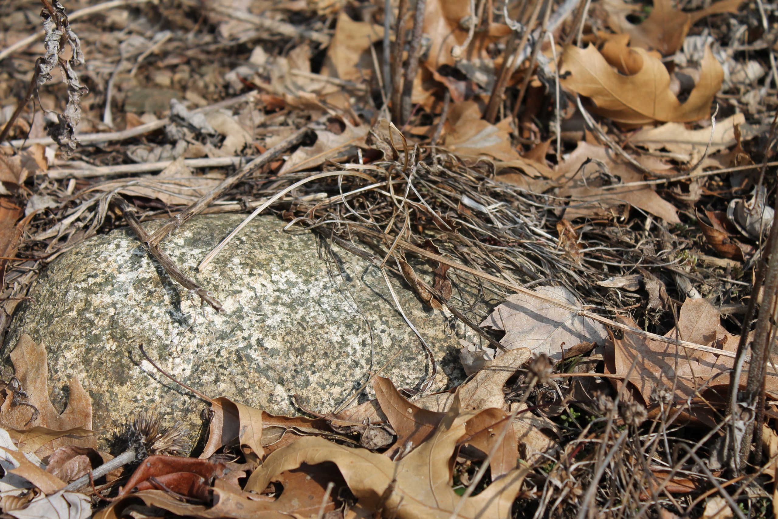 Develop Your Own Financial Game Plan – The Beginning