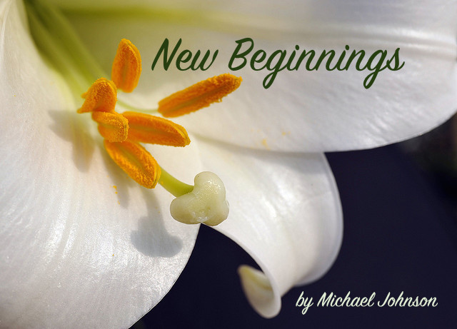 Are You a Guide or Explorer?