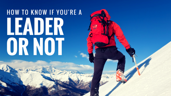 Strongest Following – Weakest Followers