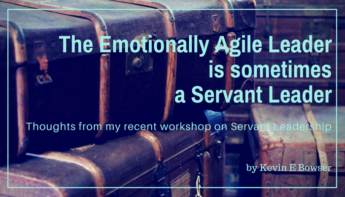 eBook editions of The Emotionally Agile Leader